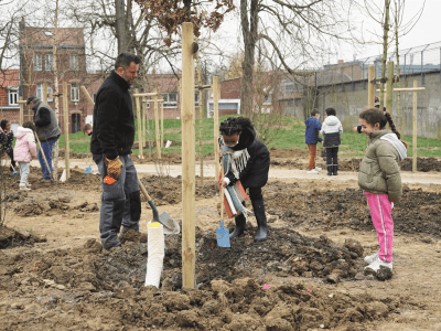 Plantation participative avec les écoliers madeleinois